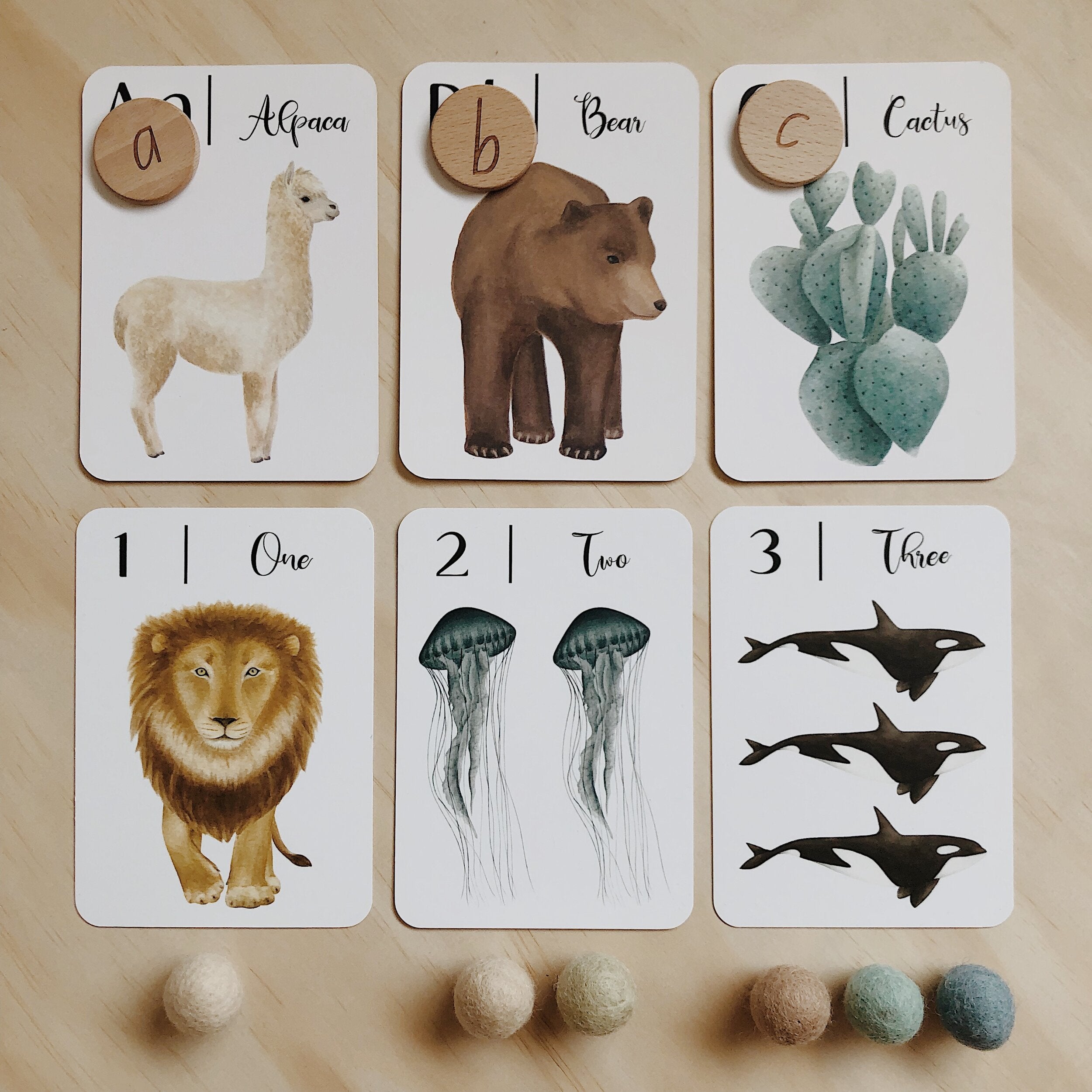 Nature's 123 Flashcards Gray