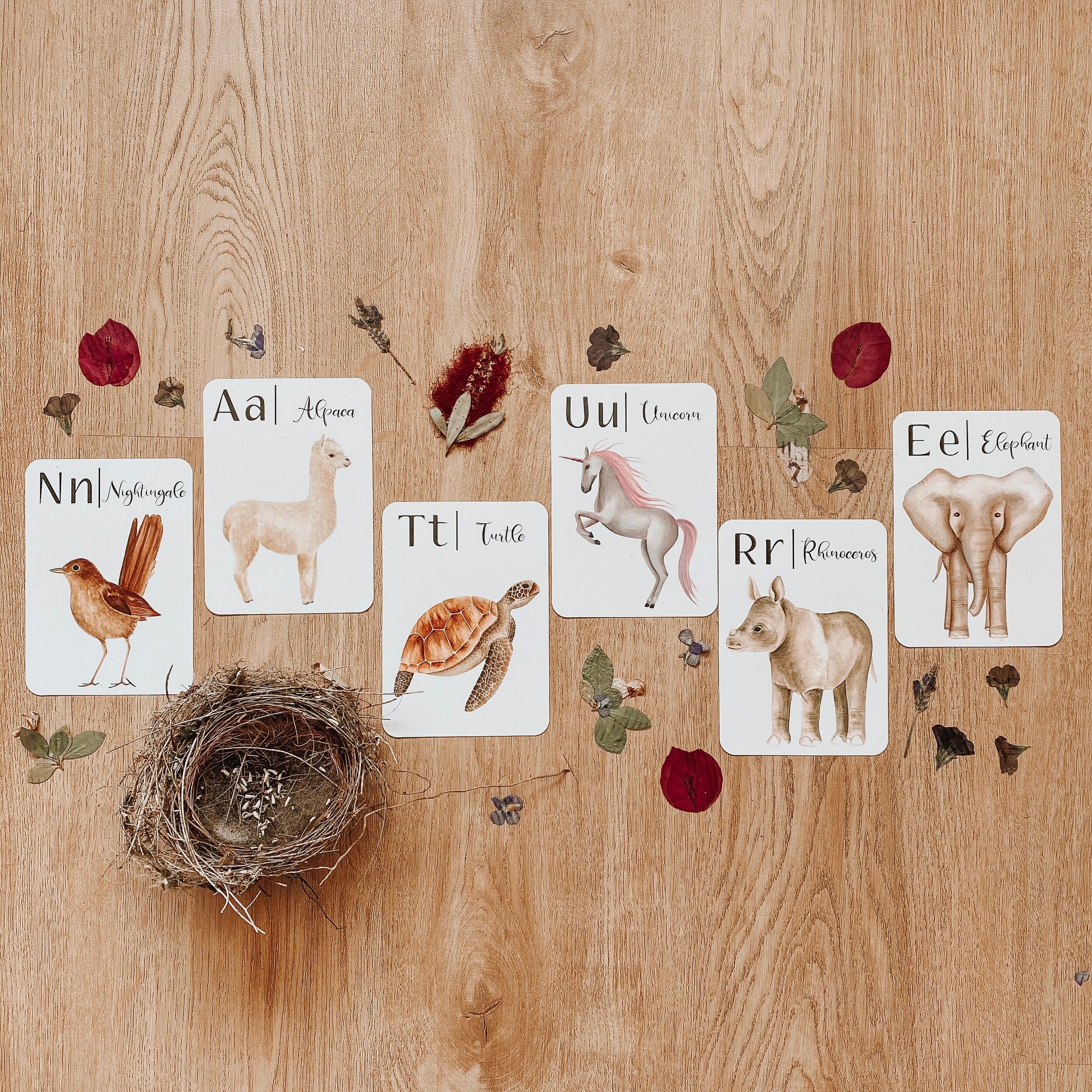 Nature's ABC Flashcards Rosy Brown